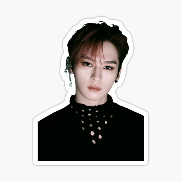 Stray Kids Lee Know Oddinary Sticker For Sale By Membercott Redbubble