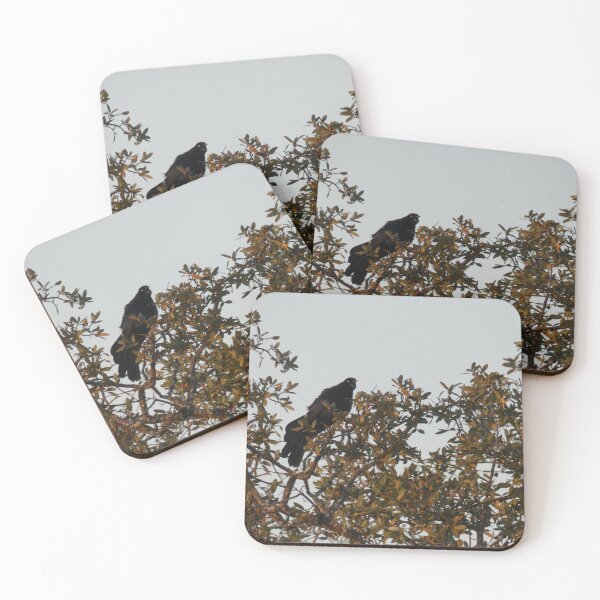 Item preview, The Great-tailed Grackle's Great Shout designed and sold by Birds-by-Bovi.