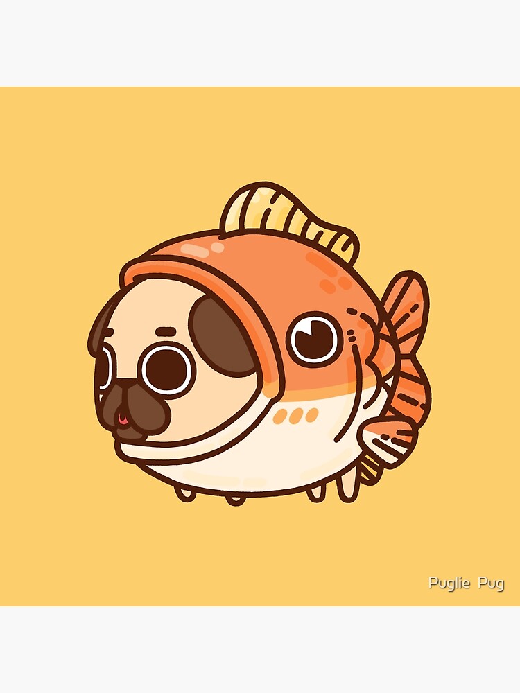 Fish pug 2024