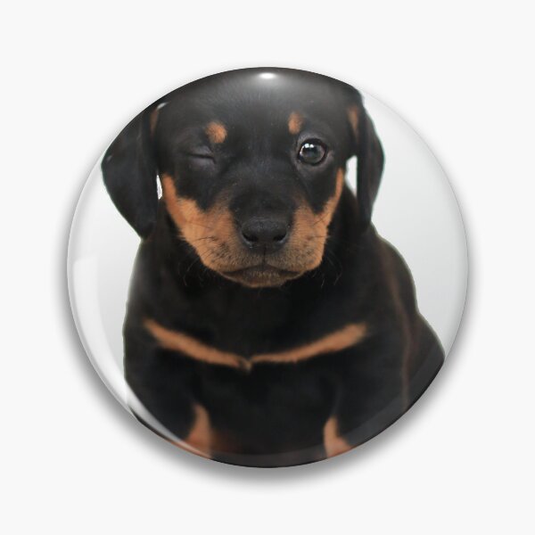 Item preview, winking puppy designed and sold by ZULO.