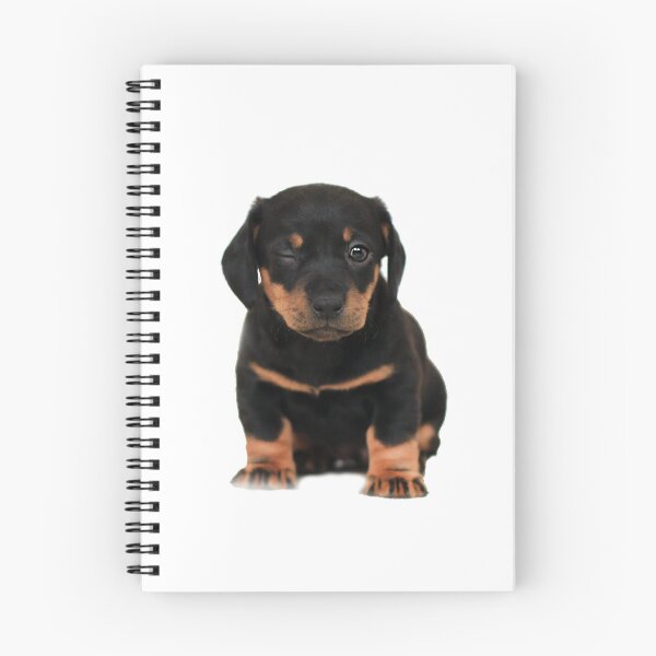 Item preview, winking puppy designed and sold by ZULO.
