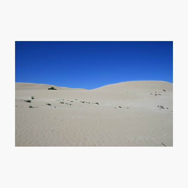 Item preview, Sandhills at Fowler's Bay, South Australia. designed and sold by elphonline.