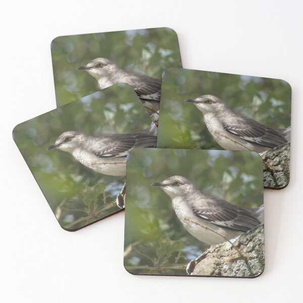 Item preview, Northern Mockingbird  designed and sold by Birds-by-Bovi.