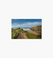 Beacon cove Cornwall Art Board