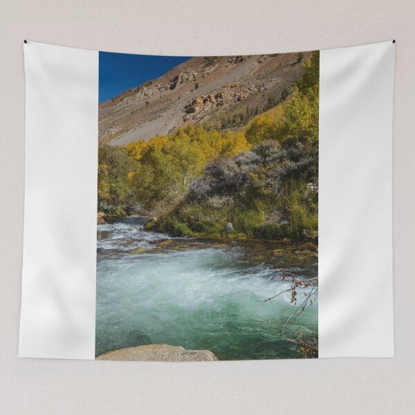 Item preview, Bishop South Fork Fall 2017 designed and sold by photosbyflood.