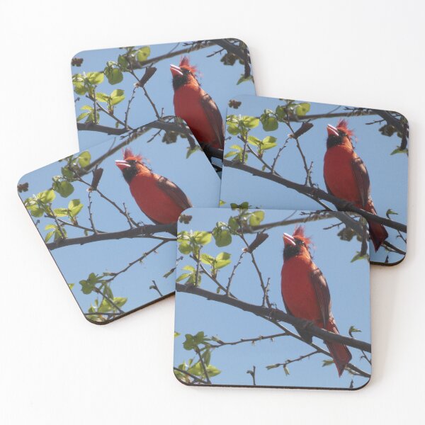 Item preview, Bad Hair Day Cardinal designed and sold by Birds-by-Bovi.