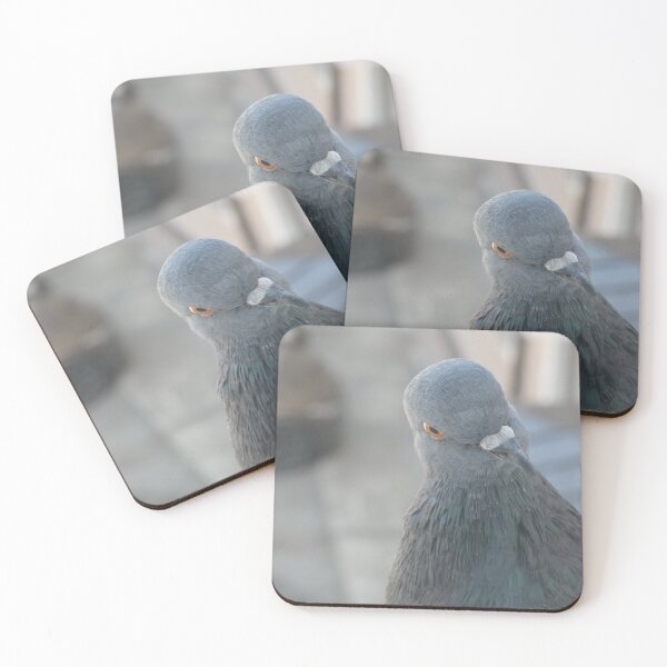 Artikelvorschau, Wettbewerb im Taubenstarren entworfen und verkauft von Birds-by-Bovi.