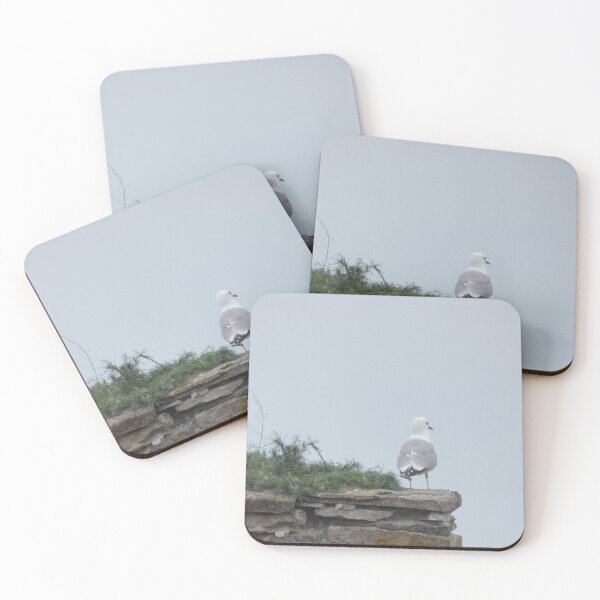 Item preview, Estonian Seagull designed and sold by Birds-by-Bovi.