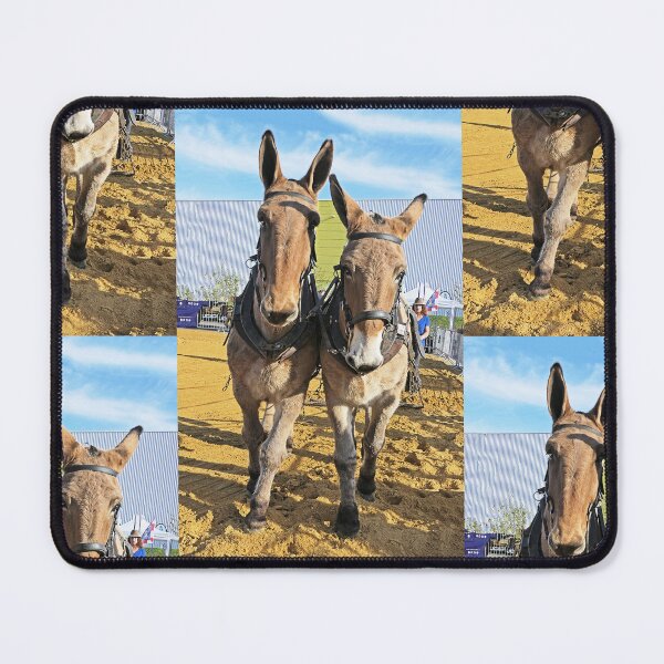 Item preview, r3566 / finition 2022 - 5 - La Ferme s'invite:  Poitiers 2022  "  - Okaio Créations  Olavia-Olao designed and sold by o.okaïo.