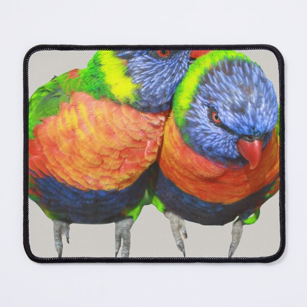 Item preview, Rainbow Lorikeet Bird designed and sold by RainbowSpinkle.