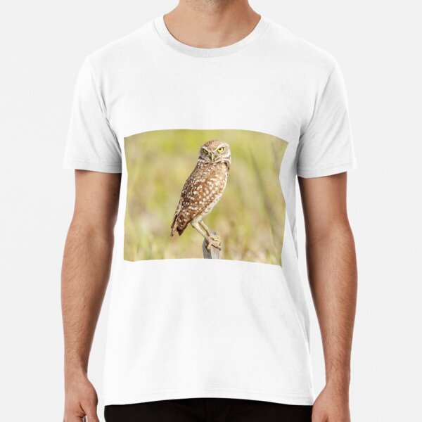 Burrowing Owl T-Shirts for Sale | Redbubble