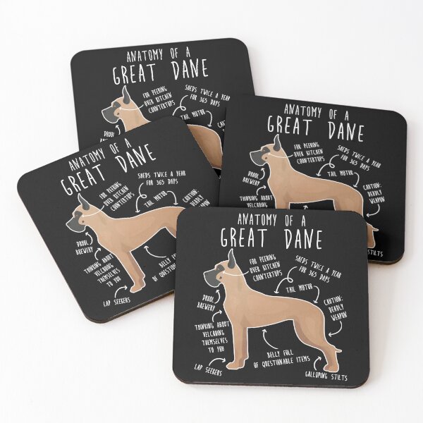 Item preview, Cropped Fawn Great Dane Dog Anatomy designed and sold by Clara Hollins.