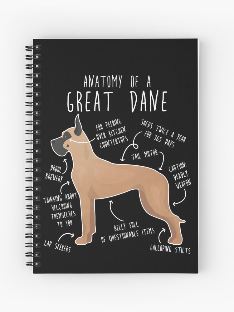 Great dane items best sale