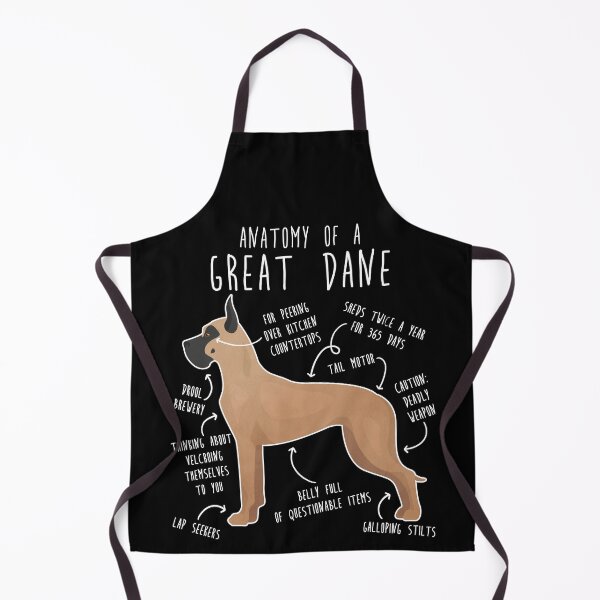 Item preview, Cropped Fawn Great Dane Dog Anatomy designed and sold by Clara Hollins.