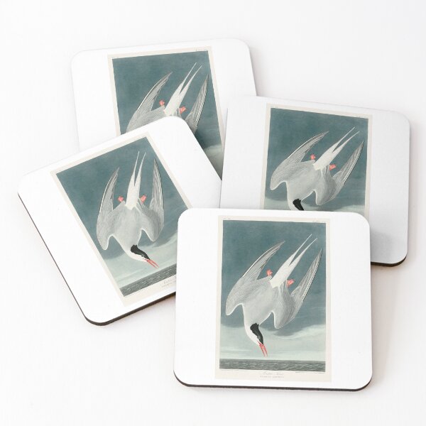 Item preview, Arctic Tern designed and sold by linggalibrary.