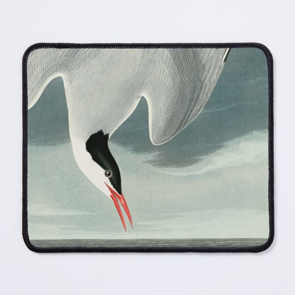 Item preview, Arctic Tern designed and sold by linggalibrary.