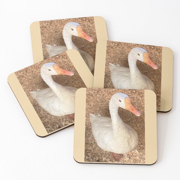 Item preview, Silly Goose! designed and sold by Chriscolibaba.