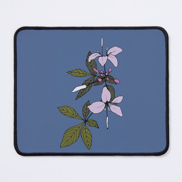 Item preview, Pretty-in-pink Cleome (spider) flower designed and sold by SCdesignqld.