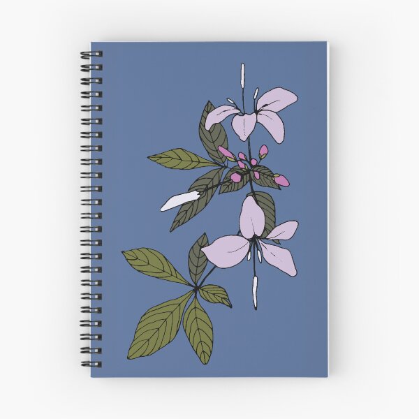 Item preview, Pretty-in-pink Cleome (spider) flower designed and sold by SCdesignqld.