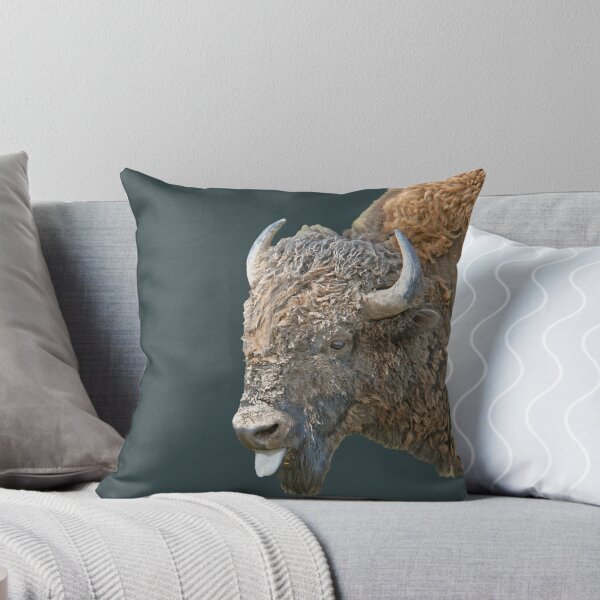 Artikelvorschau, Meine Einstellung Bull Bison entworfen und verkauft von Rodney55.