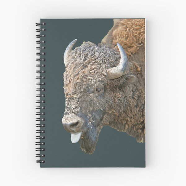 Artikelvorschau, Meine Einstellung Bull Bison entworfen und verkauft von Rodney55.