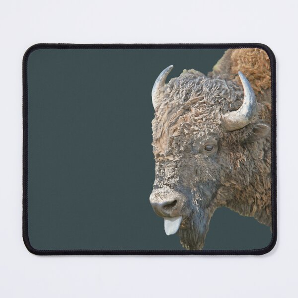 Item preview, My Attitude Bull Bison designed and sold by Rodney55.