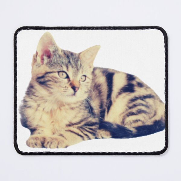 Item preview, Adorable little kitty for every cat lover designed and sold by Quality-goods.