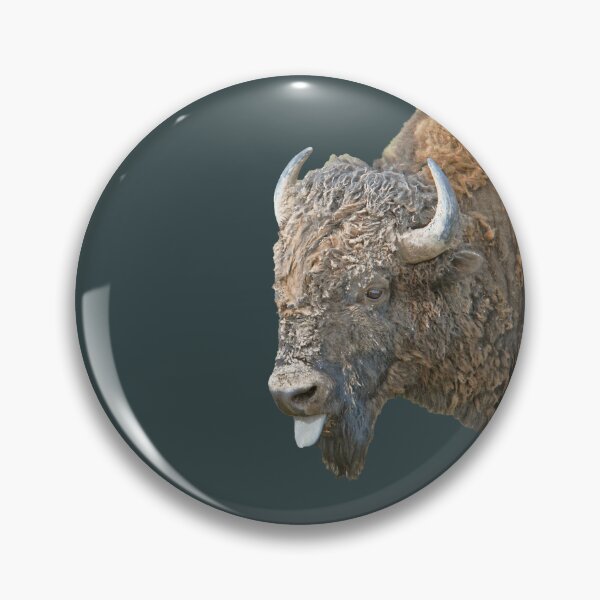 Artikelvorschau, Meine Einstellung Bull Bison entworfen und verkauft von Rodney55.