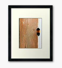 Wooly Framed Print