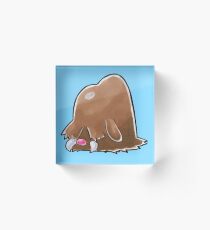 Piloswine Acrylic Block