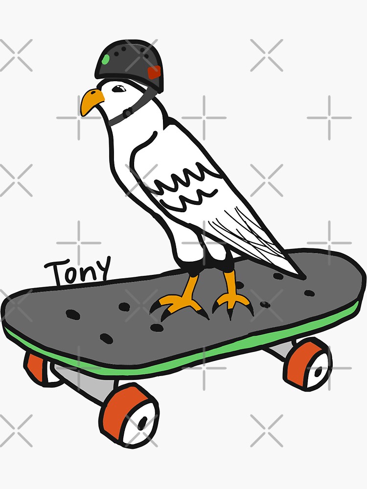 Tony Hawk Vintage Skateboards: A Dive into Nostalgia and Culture