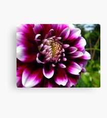 Glory on the Farm Canvas Print