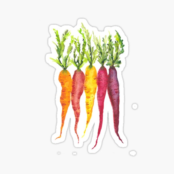 Carrots multi Sticker