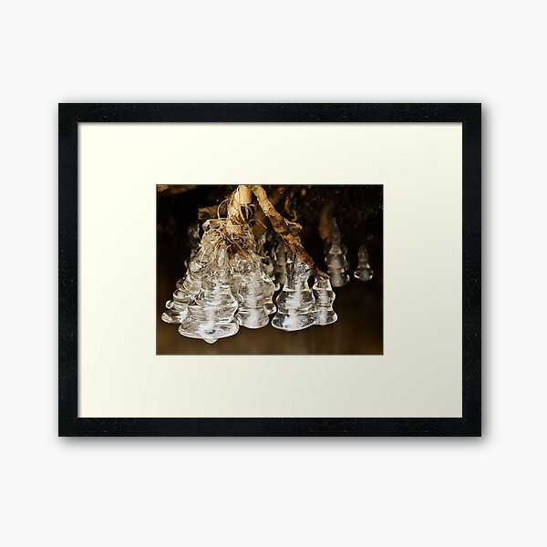 Framed Print