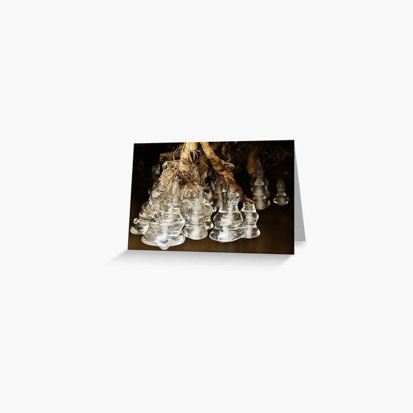 Greeting Card
