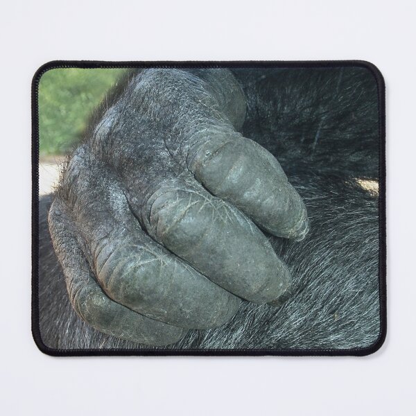 Item preview, Gorilla Scratching!! designed and sold by heatherfriedman.