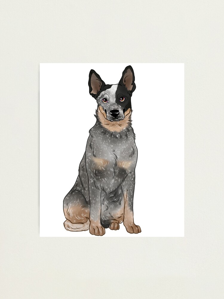 Australian Cattle Dog Blue Heeler Puppy Mounted Print for Sale by Elarex