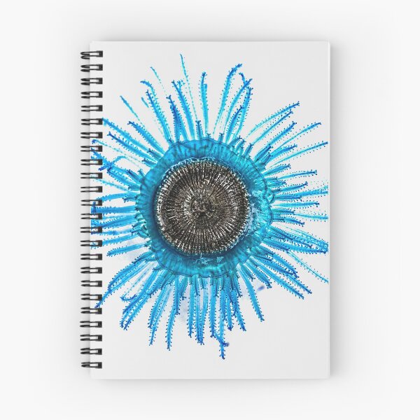 Item preview, Blue Button Jelly Fish - Porpita porpita designed and sold by Normf.