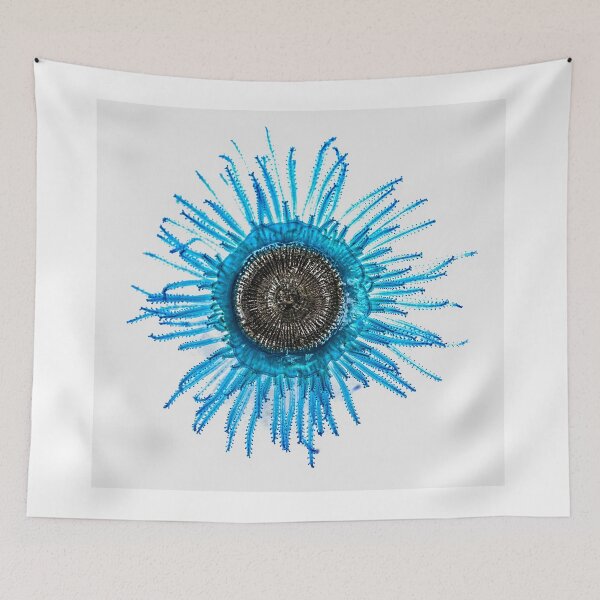 Item preview, Blue Button Jelly Fish - Porpita porpita designed and sold by Normf.