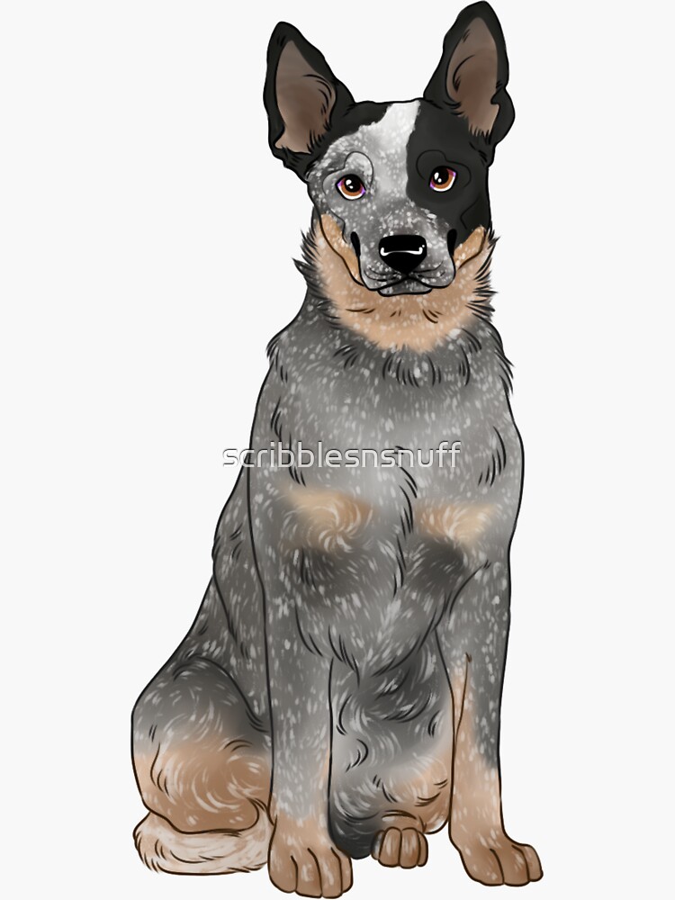 "Blue Australian Cattle Dog" Sticker for Sale by ksea Redbubble