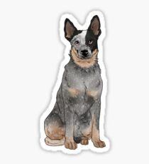 Blue Australian Cattle Dog Sticker
