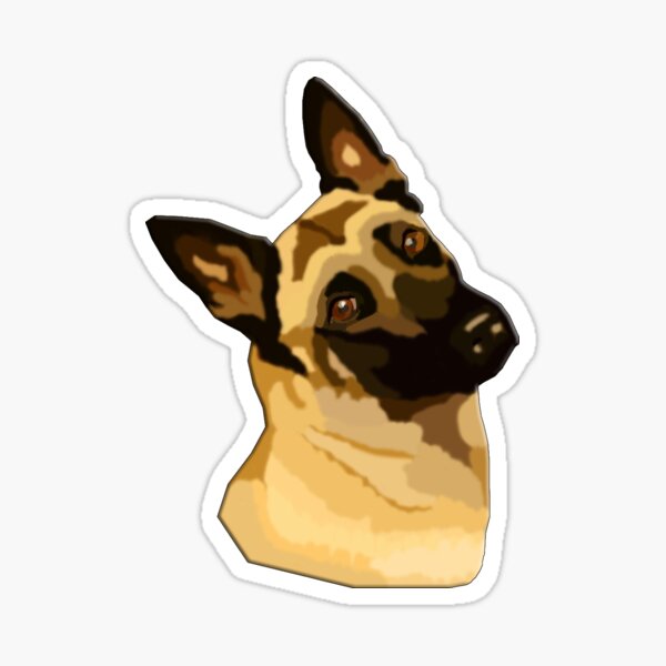 Belgian Malinois head Sticker