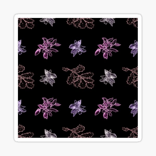Quercus (black, purple) Pegatina