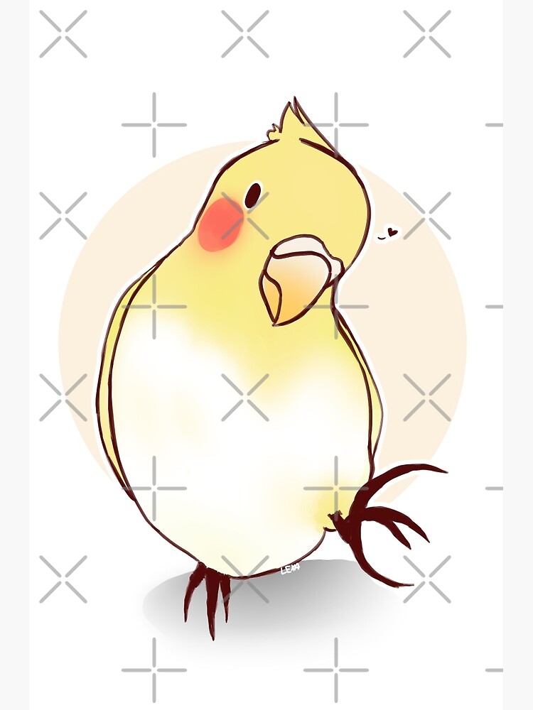 "Cute Cockatiel Bird" Art Print by Lexaachan | Redbubble