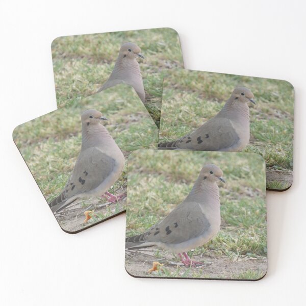 Item preview, Morning Mourning Dove designed and sold by Birds-by-Bovi.
