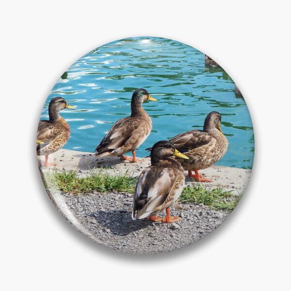 Item preview, Flock Of Ducks At My Local Pond designed and sold by BackyardBirder.