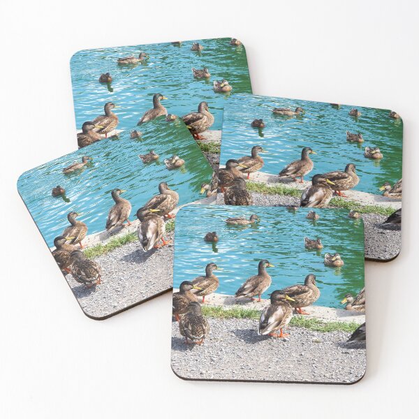 Item preview, Flock Of Ducks At My Local Pond designed and sold by BackyardBirder.