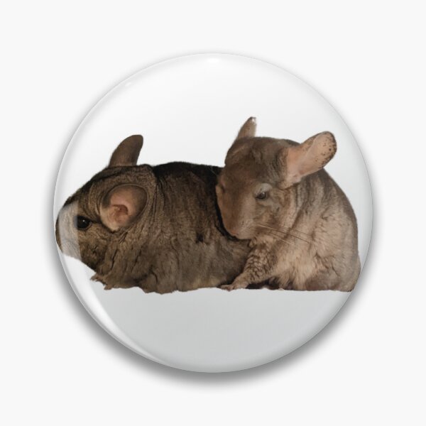 Item preview, Chinchilla friends designed and sold by ChinnieGirl.
