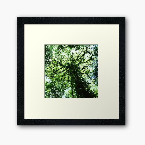 Item preview, Myrtle Beech designed and sold by Ern Mainka.