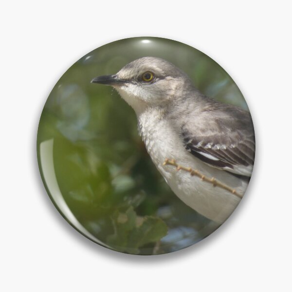 Item preview, Northern Mockingbird  designed and sold by Birds-by-Bovi.